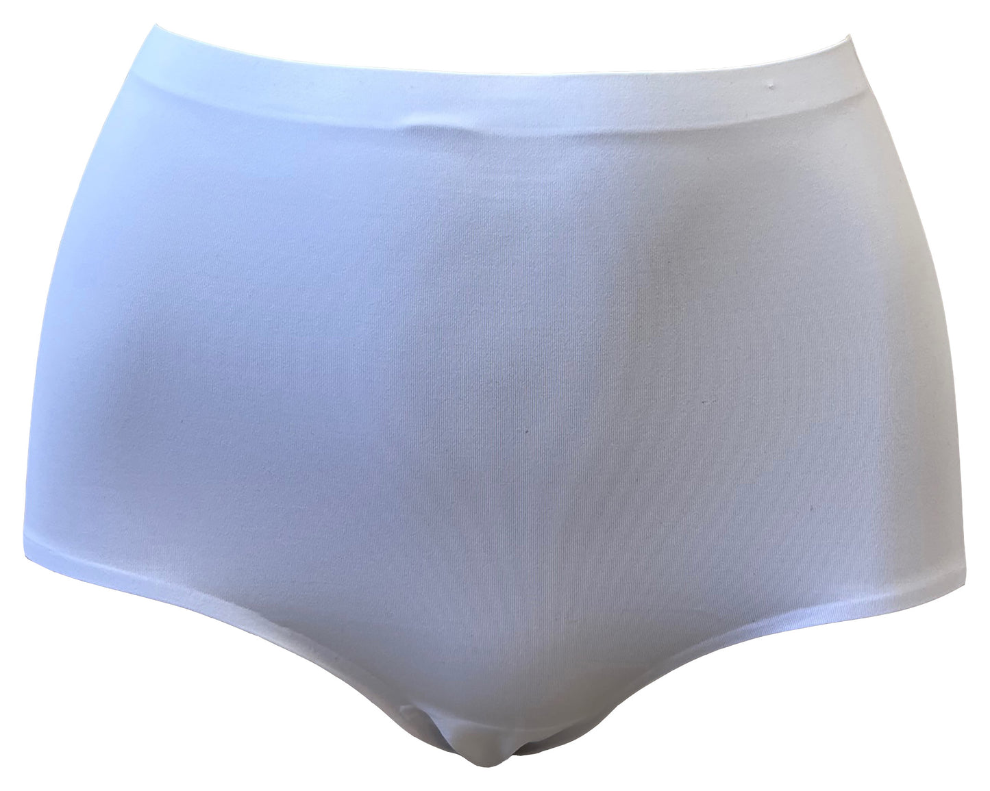 Seamless White Brief Knickers NO VPL Seamfree